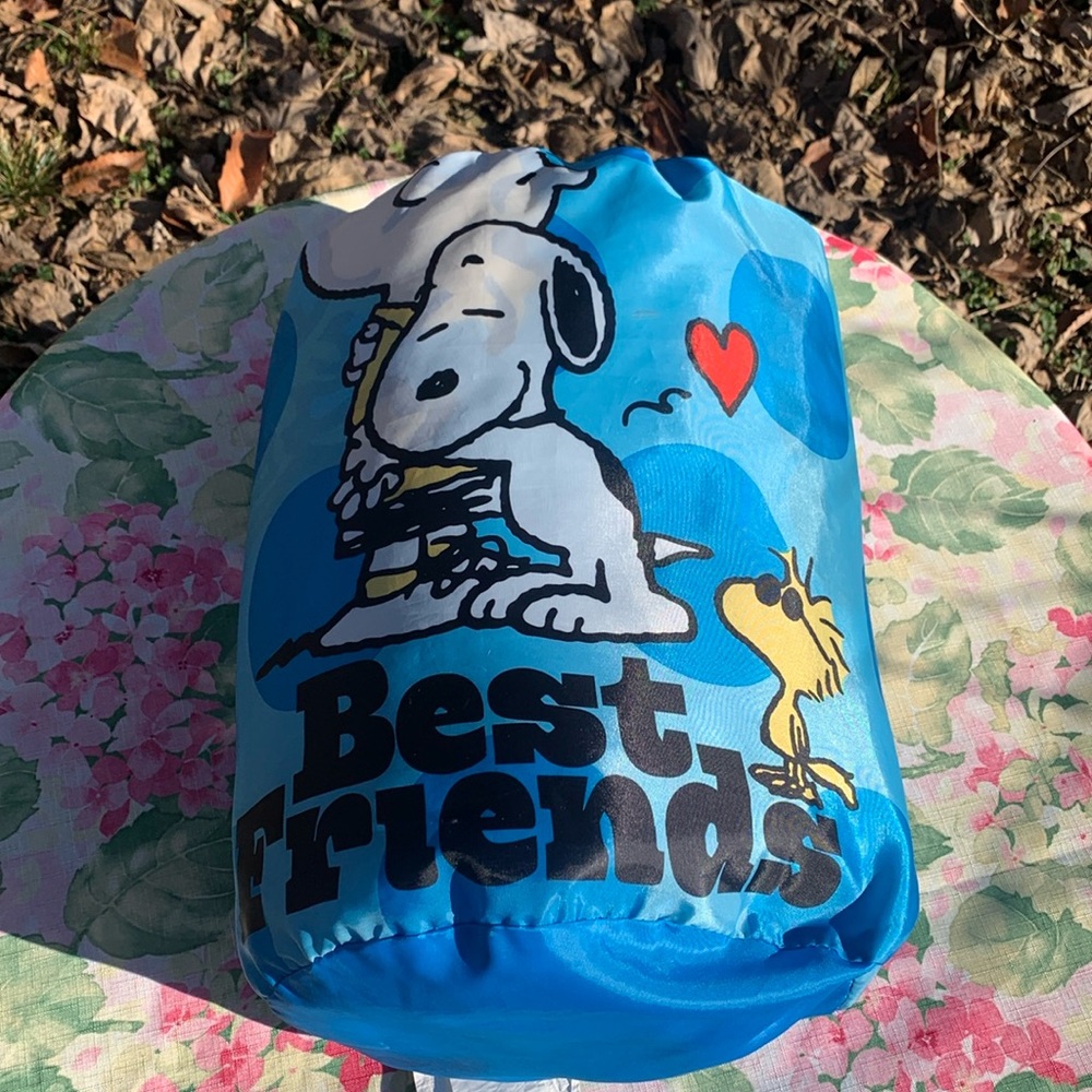 🚫SOLD🚫2015 Peanuts Snoopy and Woodstock Best Friends Sleeping Bag & Case